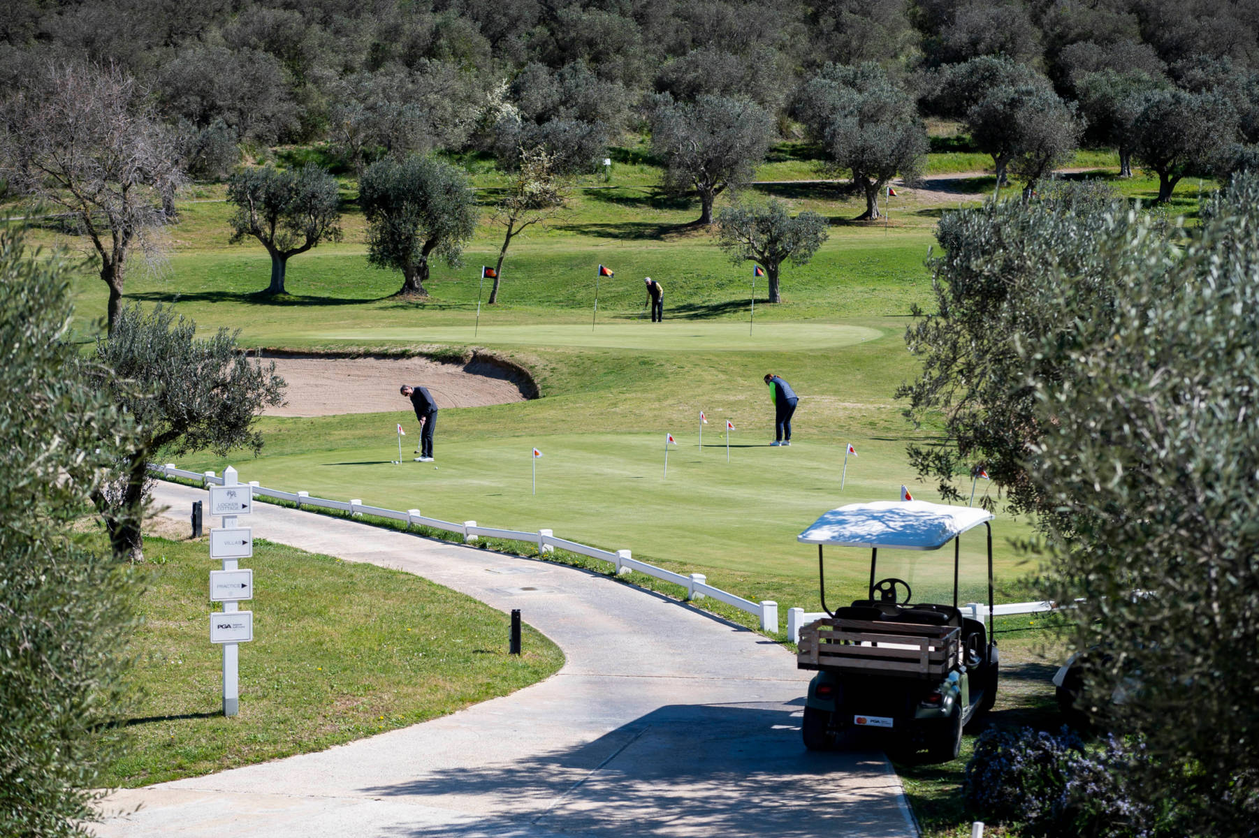 argentario practice area