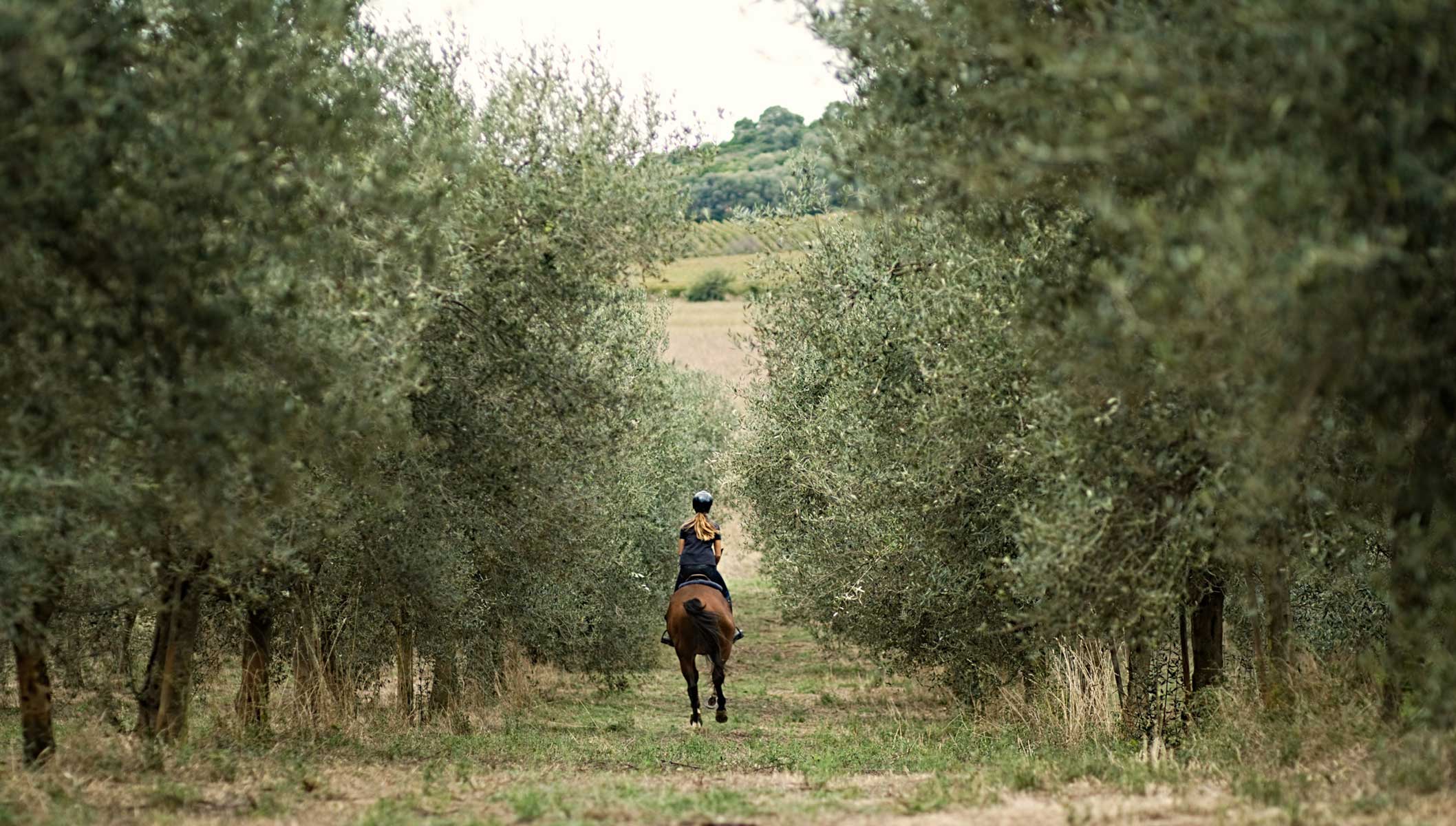 passeggiata a cavallo vicino a resort argentario