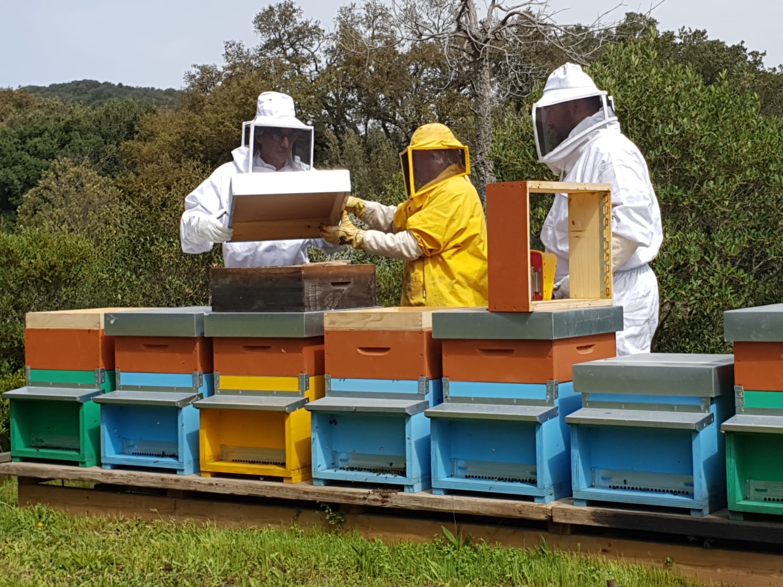 bee house at argentario eco friendly resort