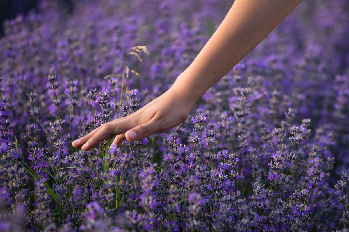 natural treatments in the Luxury Spa Hotel in Tuscany