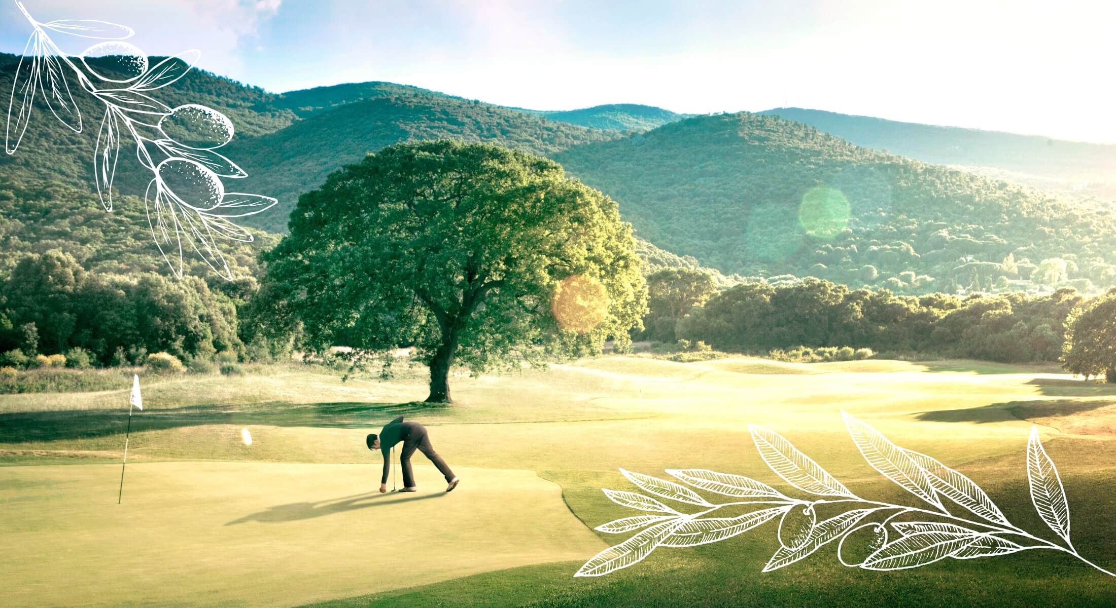 olive experience argentario
