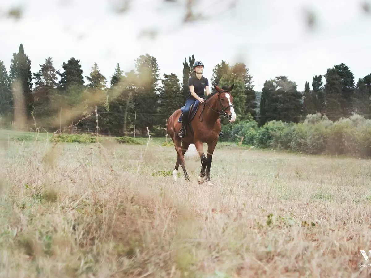 esperienze a cavallo all'argentario resort